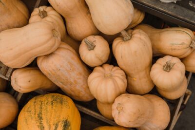 Butternut au barbecue : 3 cuissons d’automne, et où le feu reste interdit fin septembre 2026