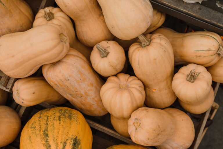 Butternut au barbecue : 3 cuissons d’automne, et où le feu reste interdit fin septembre 2026